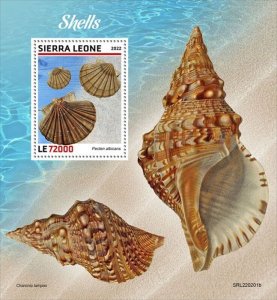 Sierra Leone - 2022 Seashells, Scallop - Stamp Souvenir Sheet - SRL220201b