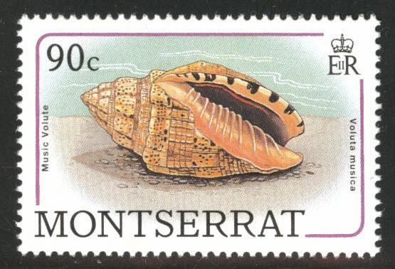 Montserrat Scott 689 MNH** sea shell 1988 stamp