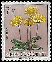 BELGIAN CONGO   #279 MH (1)