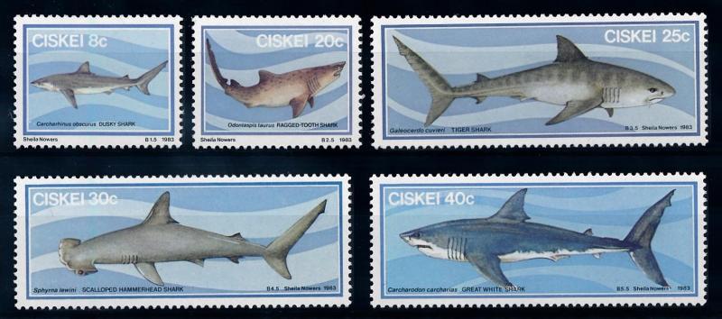 [66049] Ciskei 1983 Marine Life Sharks  MLH