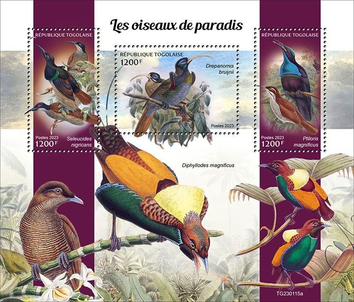 TOGO - 2023 - Birds of Paradise - Perf 3v Sheet - Mint Never Hinged