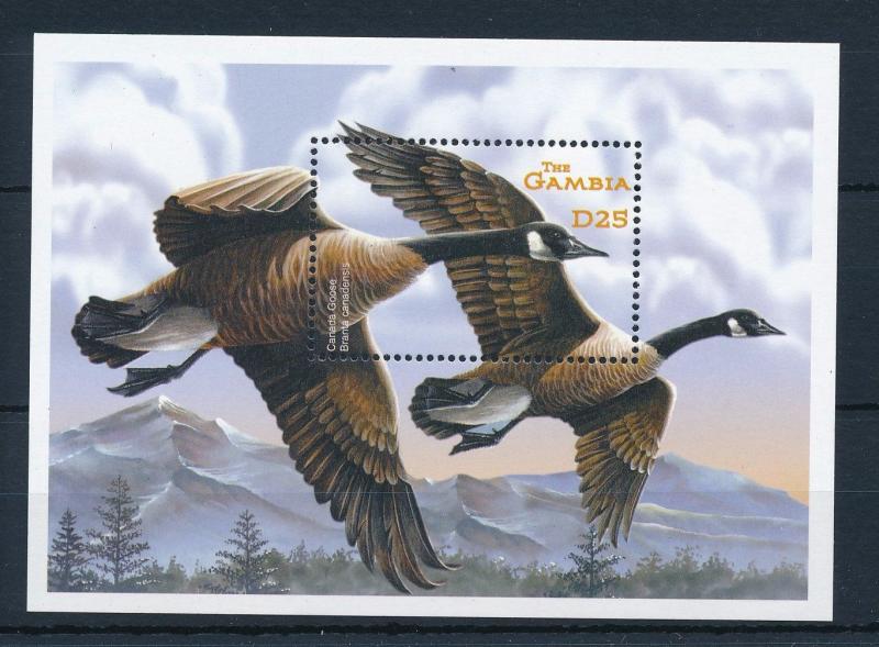 [31816] Gambia 2001 Birds Vögel Oiseaux Ucelli  Goose MNH Sheet