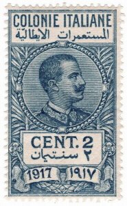 (I.B) Italy (Libya) Revenue : Duty Stamp 2c (1917)