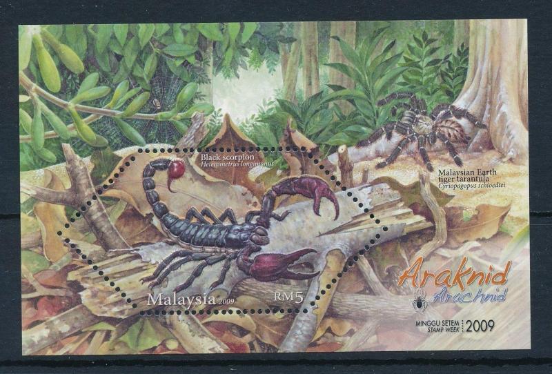 [29026] Malaysia 2009 Spiders  Tarantula MNH Sheet