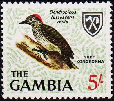 Gambia. 1966 5s S.G.243 Unmounted Mint