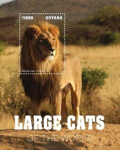 Guyana 2020 - Lions - Wild Animals - Souvenir Stamp Sheet - Scott #4623 - MNH