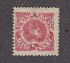 Newfoundland #56 Mint Jumbo
