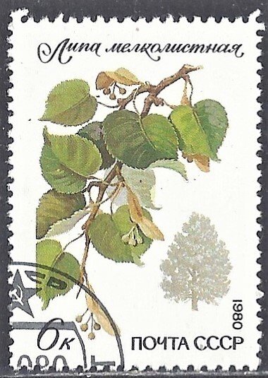 RUSSIA-USSR - SC#4873 - USED - 1980 - Item RUSSIA259