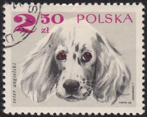 Poland 1640 English Setter 2.50zł 1969