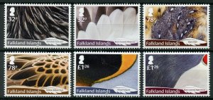 Falkland Islands Birds on Stamps 2019 MNH Feathers Ducks Owls Penguins 6v Set