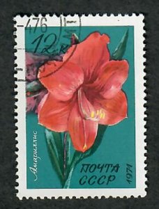 Russia 3927 Flower used single