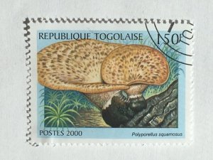 Togo – 2000 – Single Mushroom Stamp – SC# 1938B - Used