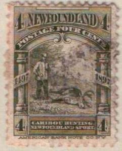 Newfoundland 64 - Used