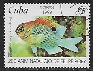 Cuba # 4011 - Scarlet-backed Demoiselle - unused CTO.....{Z30}