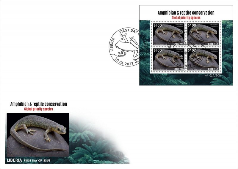 LIBERIA 2023 SET OF 6 X FDC (REG & ORIGINAL PACKAGING) - AMPHIBIANS FROG FROGS ALGERIA NEWT-