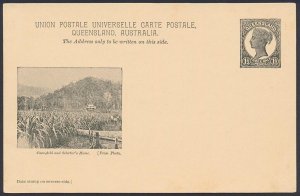 QUEENSLAND Postcard 1898 QV 1½d black view Cane-field & Selector's Home.