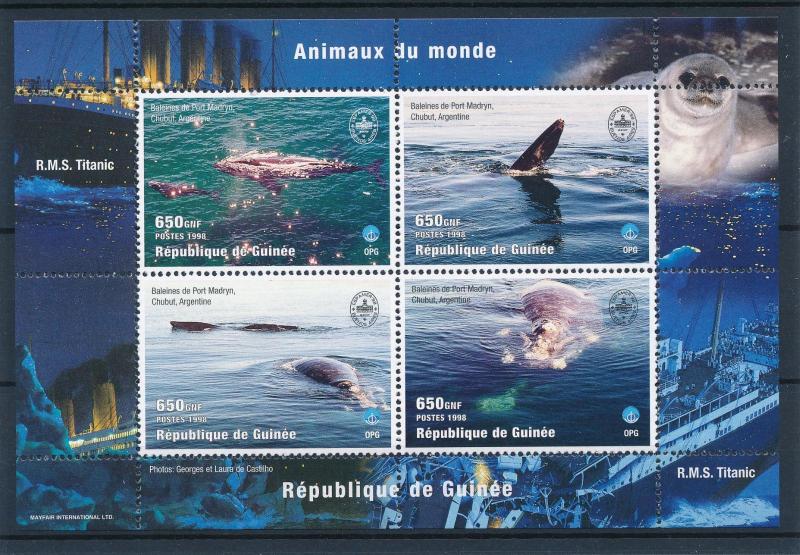 [48113] Guinea 1998 Marine life Whales Unesco MNH Sheet