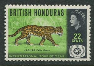 British Honduras.- Scott 206 - Intnl.Tourist Year -1967 - MNH -Single 22c Stamp