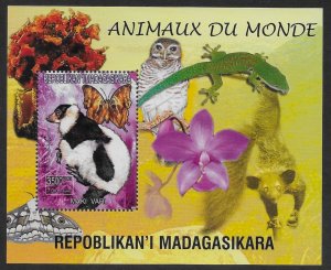 Madagascar #1416q  S/S  Butterfly and Maki vari  1999  MNH