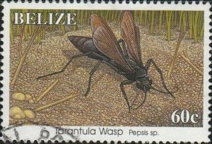 Belize, #1041 Used From 1995