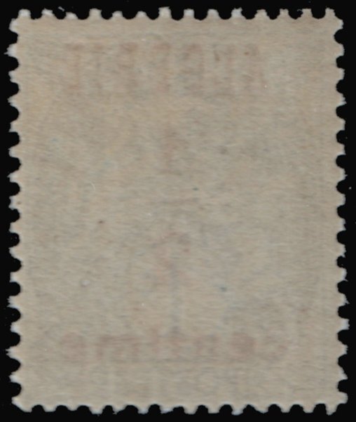 Algeria #P2  MNH - 1/2c on 1c olive Newspaper Stamp (1926)