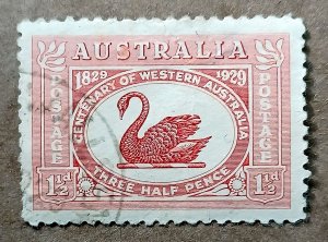 Australia #103 1½p Black Swan USED (1929)
