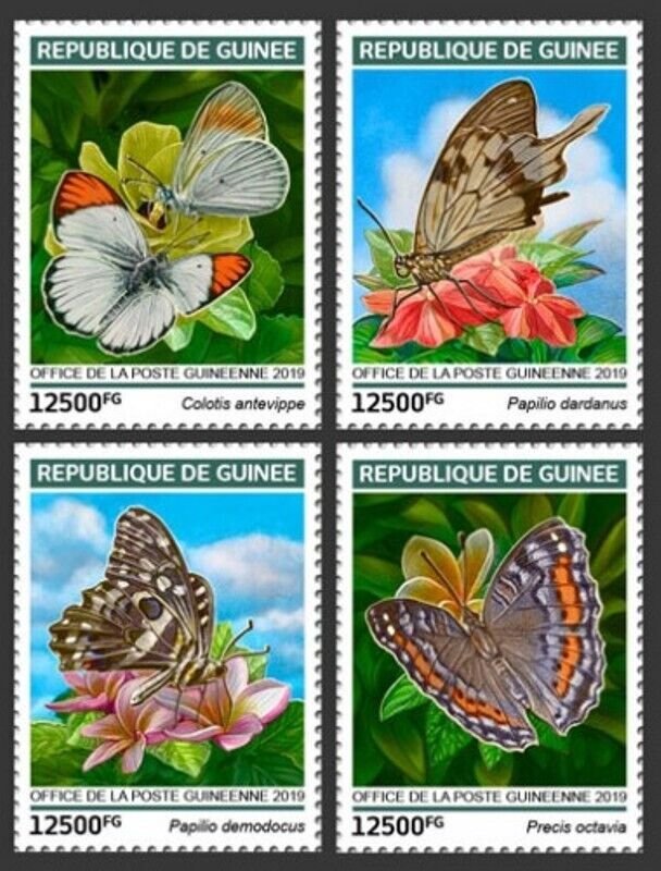 Guinea - 2019 Butterflies on Stamps - 4 Stamp Set - GU190103a