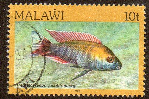 Malawi Scott  432  Used