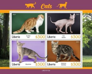 Liberia - 2021 Cat Breeds, Scottish Fold, Abyssinian - 4 Stamp Sheet LIB210112a 
