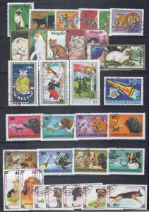 Mongolia Collection Used Topicals Pets Dogs Cats Space Tigers ZAYIX 0224S0348