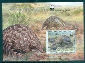 Mozambique 2013 African Wildlife, Anteaters , WWF MS MUH MOZ13101b
