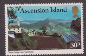 Ascension Island 272 Green Mountain Farm 1981