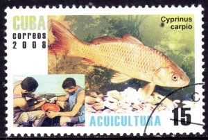 CUBA.2008 Fauna - Fish 