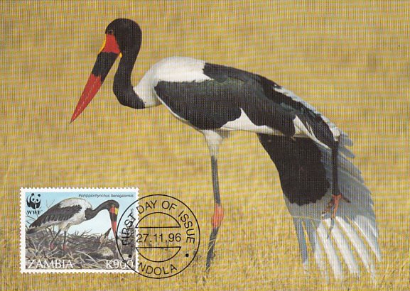 Zambia 1996 Maxicard Sc #657 900k Saddle-billed stork WWF