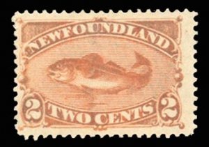 Newfoundland #48 Cat$37.50, 1887 2c orange red, hinged