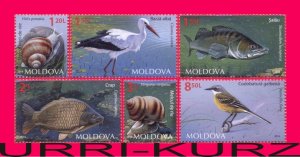 MOLDOVA 2014 Nature Fauna Fish Birds Snails Mollusks 6v Sc838-843 Mi883-888 MNH