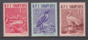 Albania Sc 592-594 MLH. 1961 Birds, complete set, fresh, bright, LH