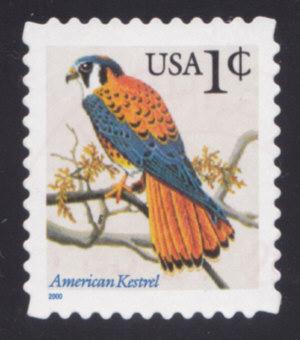 3031A,used blue year date