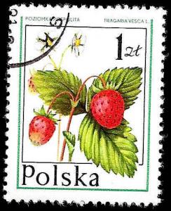 Poland - #2201 - Used - SCV-0.25
