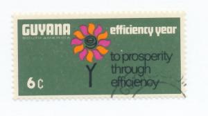 Guyana 1968 Scott 56 CTO - 6c, Efficiency Year, flower
