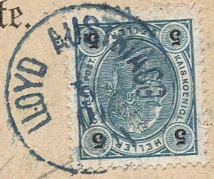AUSTRIA 1901  5h on color ppc, Blue LLOYD AUSTRIACO XLII Habsburg blue cancel