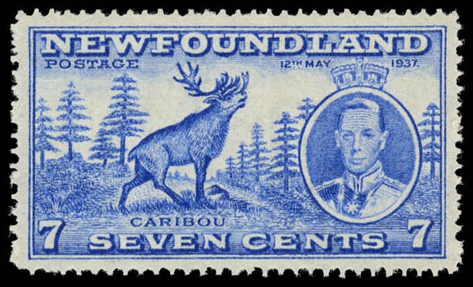 NEWFOUNDLAND Sc 235 VF/MNH - 1937 4¢ KGVI & Caribou