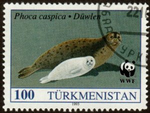 Turkmenistan 37 - Cto - 100r Caspian Seal (WWF) (1993) (cv $1.05)