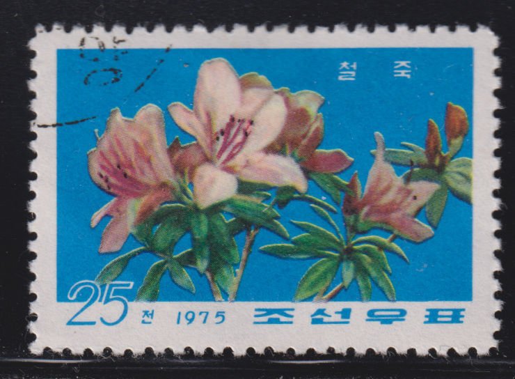 North Korea 1377 Rhododendron 1975