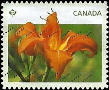 CANADA   #2529 USED (2)