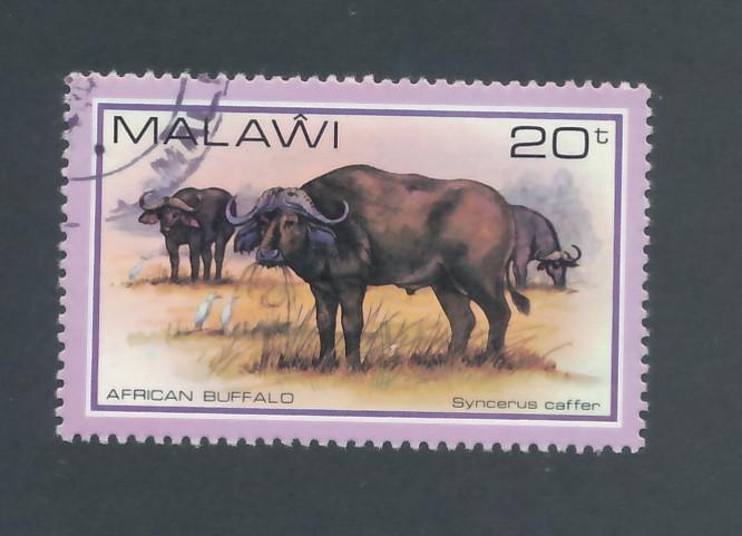 Malawi 1981 Scott 380 CTO - 20t, African buffalo