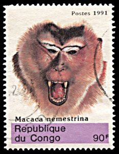 Congo 955, postally used, Pigtail Macaque