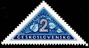 Czechoslovakia Scott EX3 Mint never hinged.