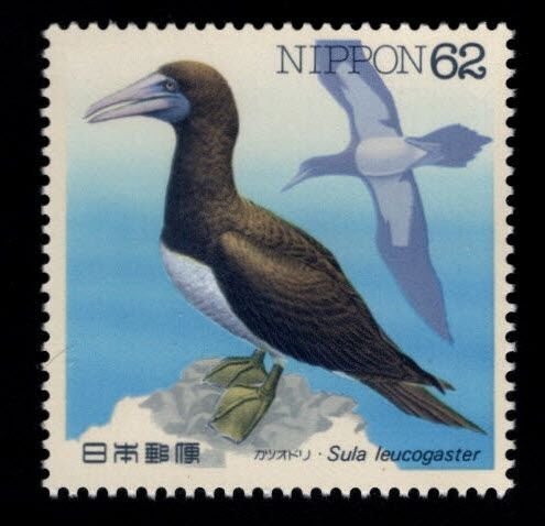 JAPAN  Scott 2104  MNH** Bird Stamp