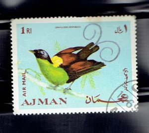 AJMAN 1969 BIRDS - 1r WILSON'S BIRD-OF-PARADISE - CTO